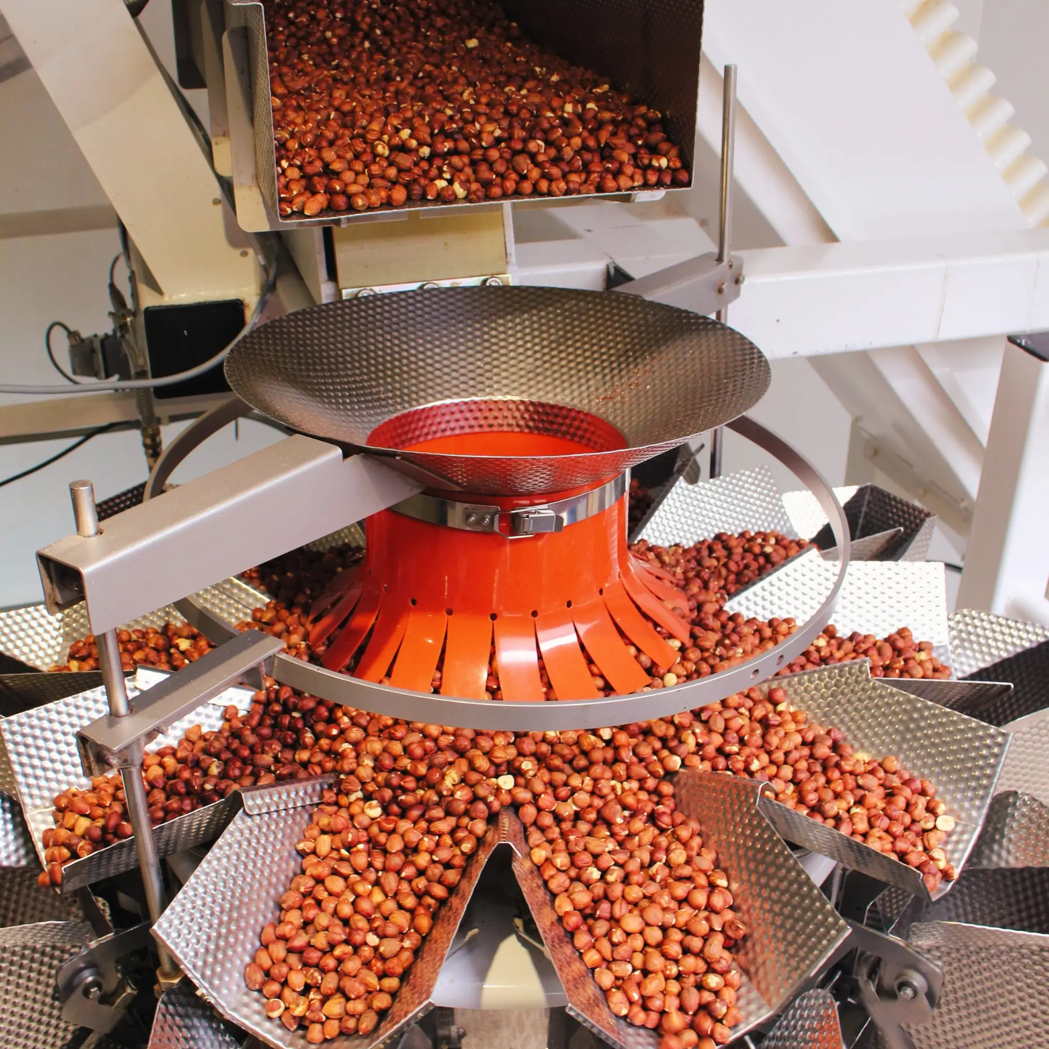 Mehrkopfwage in der Produkten, hier werden gerade Hasenusskerne produziert